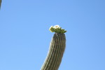 photo thumbnail #12