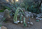 photo thumbnail #5