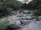 photo thumbnail #1