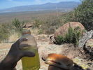 photo thumbnail #6