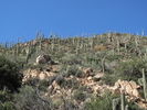 photo thumbnail #14