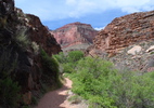 2013-04-13 :3: Phantom Ranch via S Kaibab/Bright Angel :: southpawaz