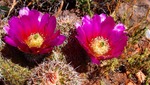 photo thumbnail #5