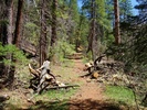 photo thumbnail #7