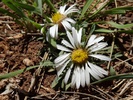 photo thumbnail #10