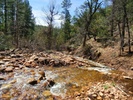 photo thumbnail #12