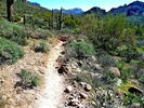 photo thumbnail #7