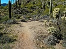 photo thumbnail #8