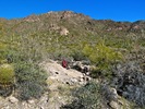 photo thumbnail #14