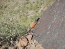 photo thumbnail #4
