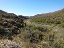 photo thumbnail #3
