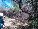 photo thumbnail #11