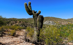 photo thumbnail #11