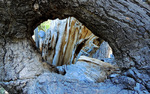 photo thumbnail #12