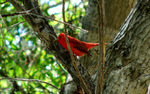 photo thumbnail #13