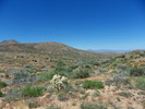 photo thumbnail #6