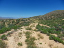 photo thumbnail #7