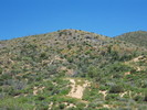 photo thumbnail #9