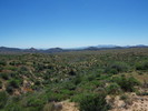 photo thumbnail #12