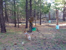 photo thumbnail #6