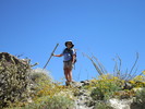photo thumbnail #13