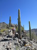 photo thumbnail #8