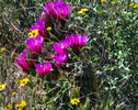 photo thumbnail #14
