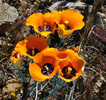 photo thumbnail #7