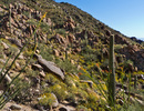 photo thumbnail #3