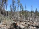 photo thumbnail #4