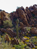 photo thumbnail #5