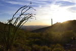 photo thumbnail #5