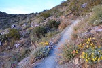 photo thumbnail #7