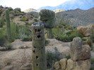 photo thumbnail #6