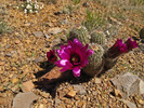 photo thumbnail #14