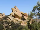 photo thumbnail #4