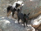photo thumbnail #1