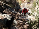photo thumbnail #2