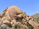 photo thumbnail #4