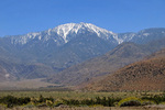 Featured Full Photo