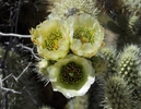 photo thumbnail #6