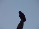 photo thumbnail #15