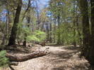 photo thumbnail #8