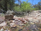 photo thumbnail #9