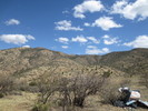 photo thumbnail #3