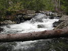photo thumbnail #2