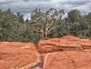 photo thumbnail #9