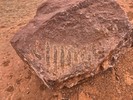 photo thumbnail #12