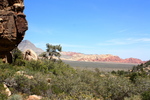 photo thumbnail #6