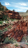 photo thumbnail #4